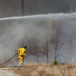 Myrtle Grove Fire Department